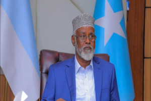 Drought-hit Jubaland forms committee to speed humanitarian relief