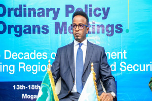 Somalia hosts 35th Eastern Africa Standby Force security chiefs meeting