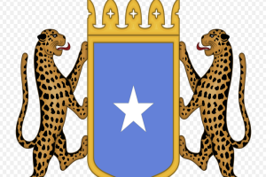 Dowladda Soomaaliya oo u mahadcelisay dhamaan dalalka iyo Ururada Caalamiga ah ee taageeray Wadajirkeeda